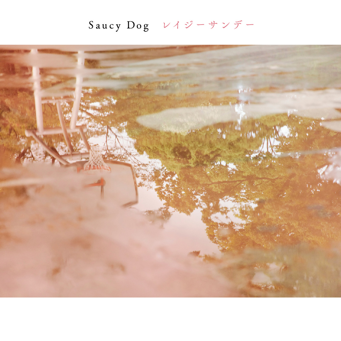 Saucy Dog CD 「ロケット/世界の果て」 - 邦楽